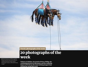Une des 20 meilleures photographie de la semaine selon The Guardian !!!