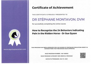 Certificate RACE HRpE Dr Stéphane Montavon DVM -  2021