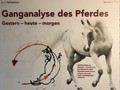 Ganganalyse des Pferdes - Gestern - Heute - Morgen