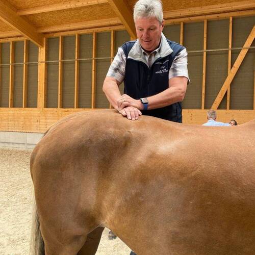 Dr Stéphane MONBTAVON, DVM, CERP