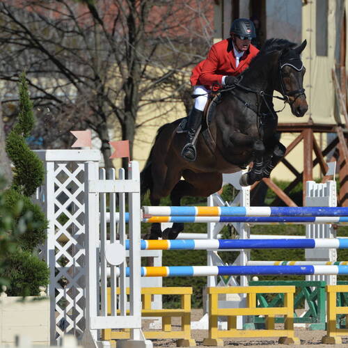 Portrait de Stéphane Montavon, vétérinaire de concours lors du concours de saut d'obstacle de Marsens