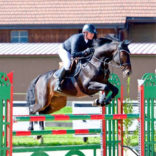 Description de l'image