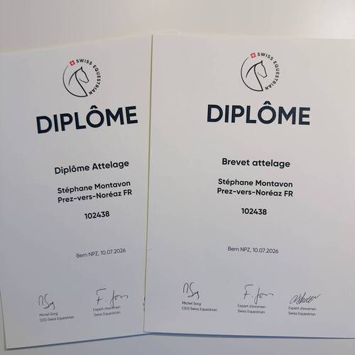 Brevet d'attelage passé avec succès