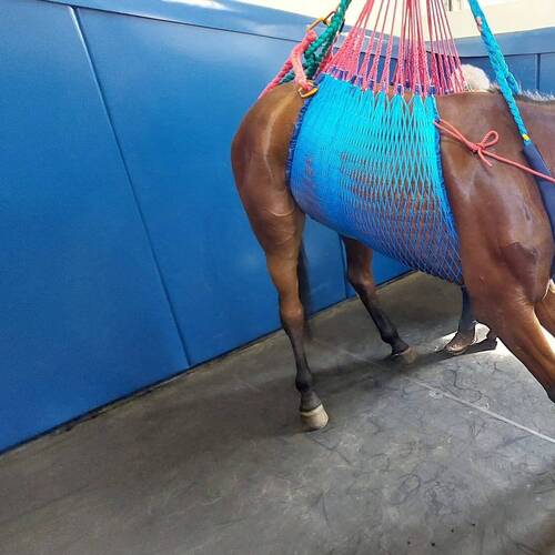 Le FSTA - TBTN - ARTS