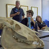 Young Riders Academy 2025 - Lugano - June 2025 - Vet Session - 2