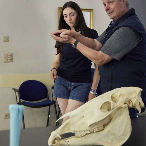 Young Riders Academy 2025 - Lugano - June 2025 - Vet Session - 4