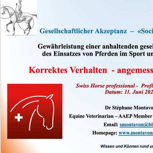 SHP Profit Day Programm