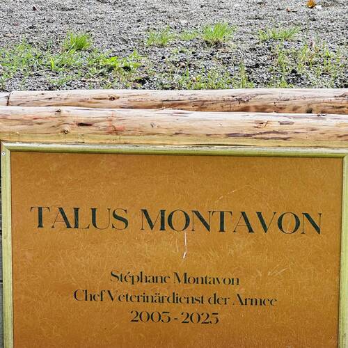 Le Talus Montavon - Une idée du CEN à Berne
