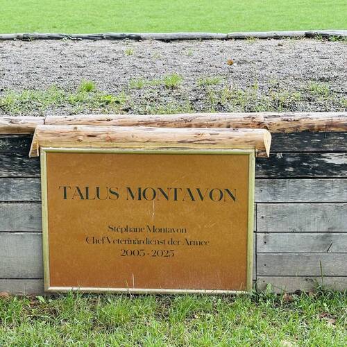 Talus Montavon - NPZB - 4