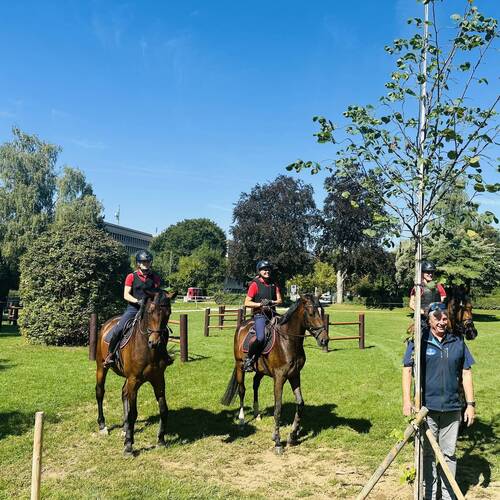 Talus Montavon - NPZB - 1