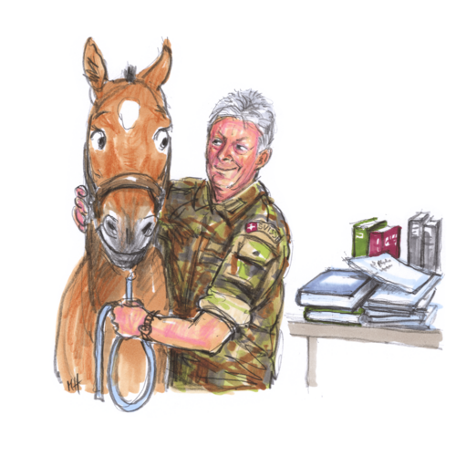 40 years of research into equine medicine and equestrian practices