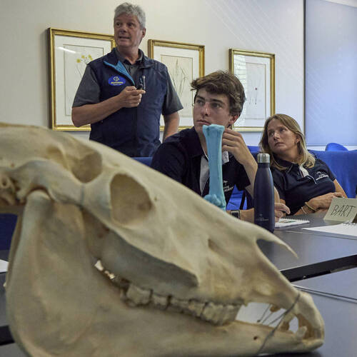 Young Riders Academy 2025 - Lugano - June 2025 - Vet Session - 3