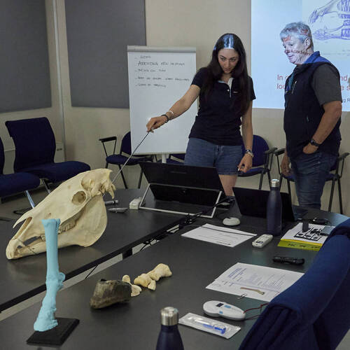 Young Riders Academy 2025 - Lugano - June 2025 - Vet Session - 4