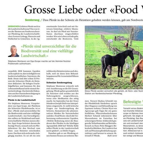 Stéphane Montavon, Vizepräsident von Equi-Scope, setzt sich für die Beibehaltung des Status des Pferdes als Nutztier in der Schweiz ein.