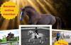 1st Equi-Ethics International Symposium in Brussel - September 2025