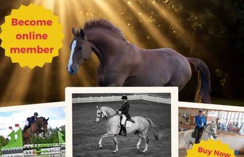 1st Equi-Ethics International Symposium in Brussel - September 2025