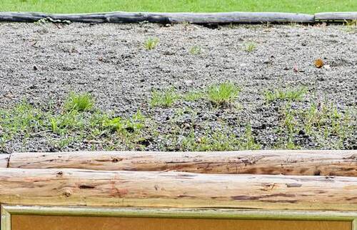 Le Talus Montavon - Une idée du CEN à Berne