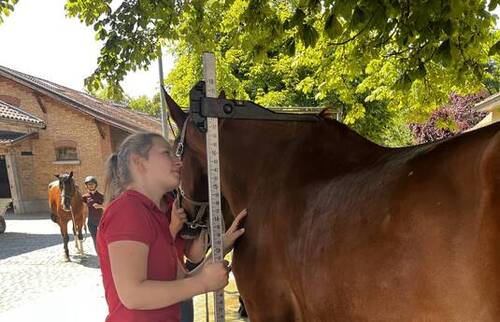 Une nouvelle publication avec le Dr Nadja Karol sur les critères de mesure du garrot chez les chevaux