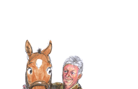 40 years of research into equine medicine and equestrian practices