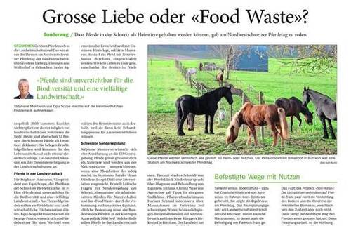 Stéphane Montavon, Vizepräsident von Equi-Scope, setzt sich für die Beibehaltung des Status des Pferdes als Nutztier in der Schweiz ein.