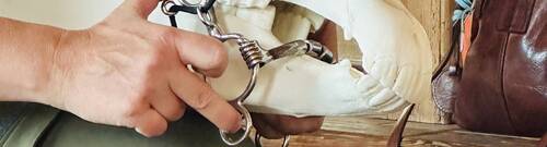 Largeur d'embouchure - Breite eines Gebisses - Width of a bit