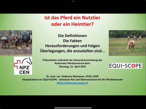 Title of the conference on 15 April 2025 in German