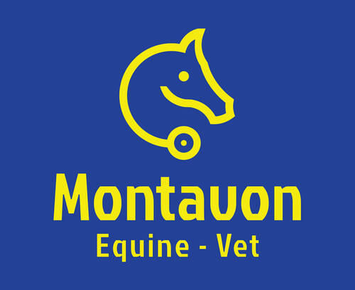 Logo Montavon Equine Veterinarian