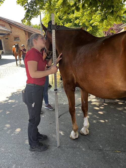 Dissertation Dr Nadja Karol - 2025